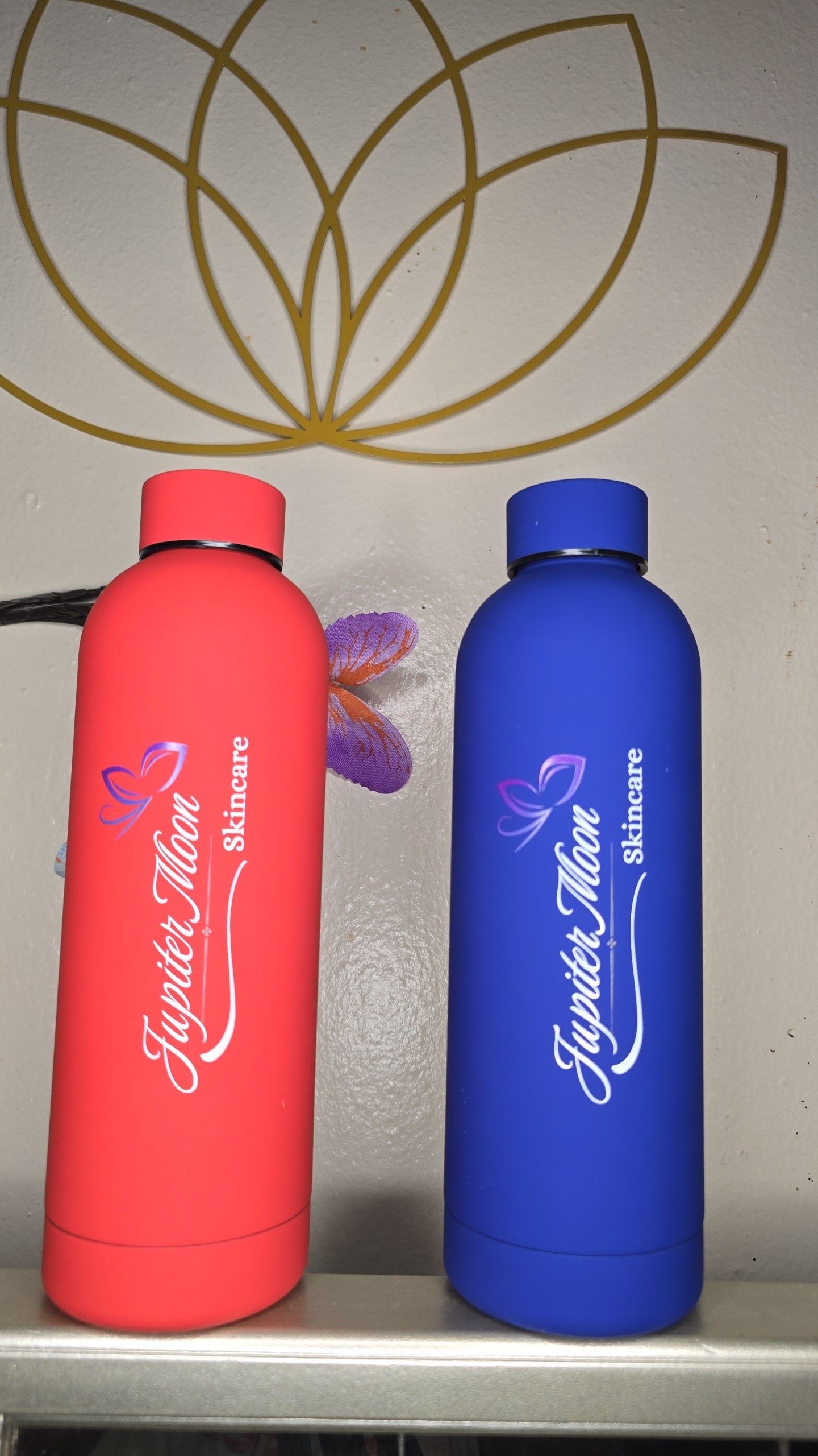 Vacuum Sealed Water Bottle