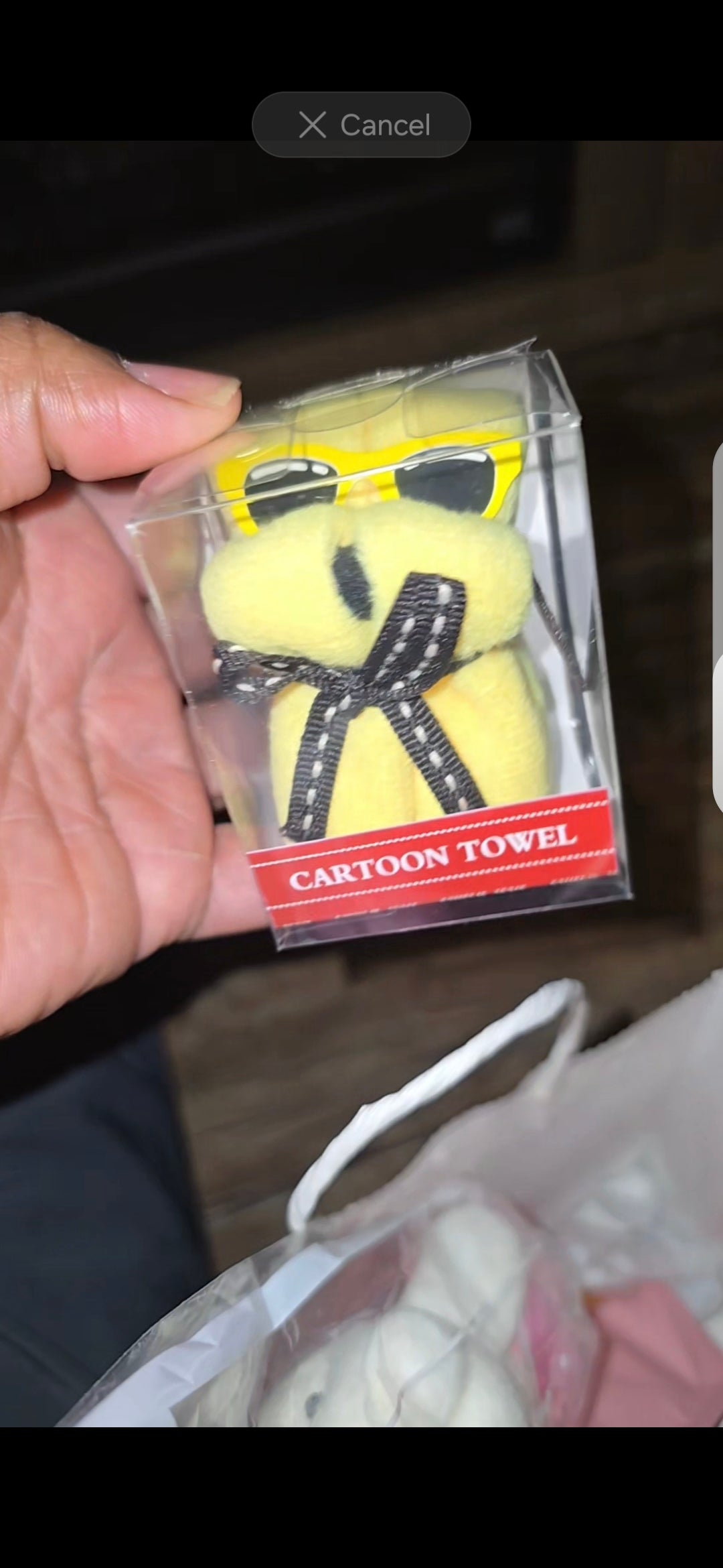 Valentine's Day Gift Bags