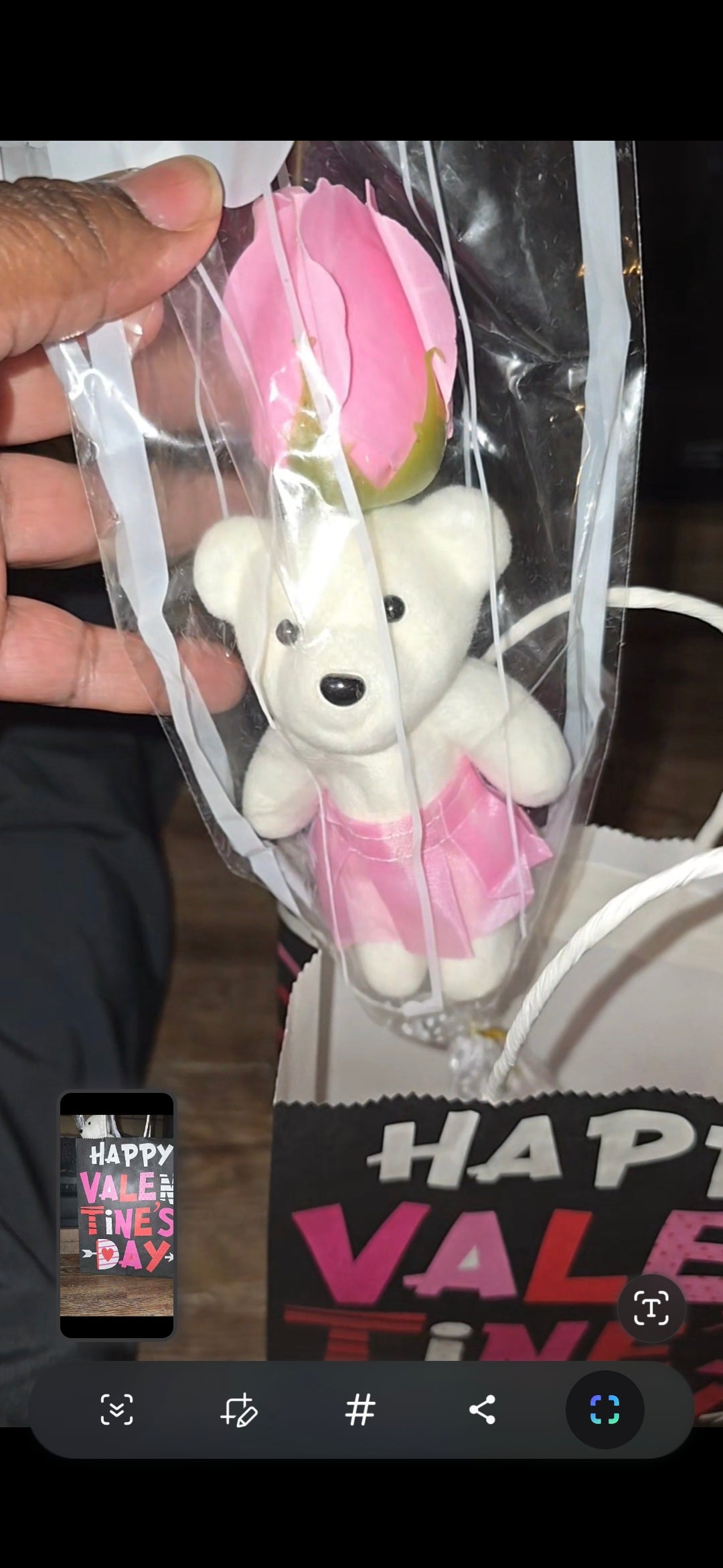 Valentine's Day Gift Bags