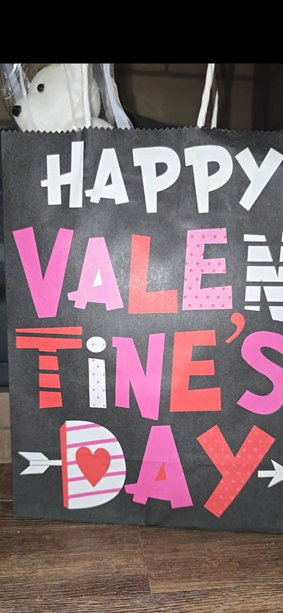 Valentine's Day Gift Bags